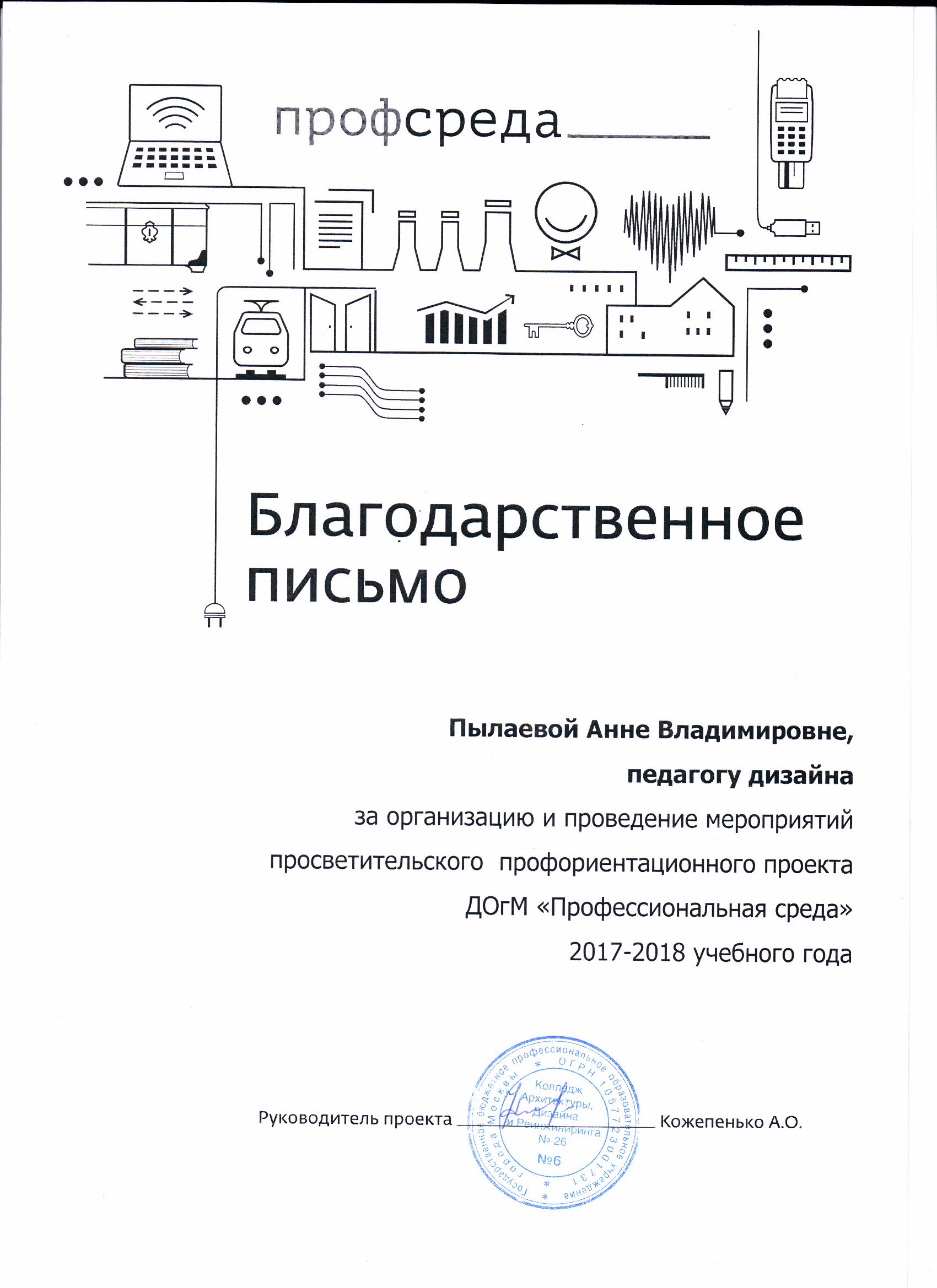 Проект профессиональная среда